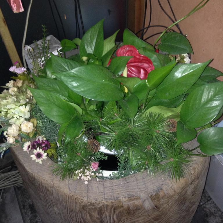Itaewon Land Spa & Guesthouse Seoul Room photo